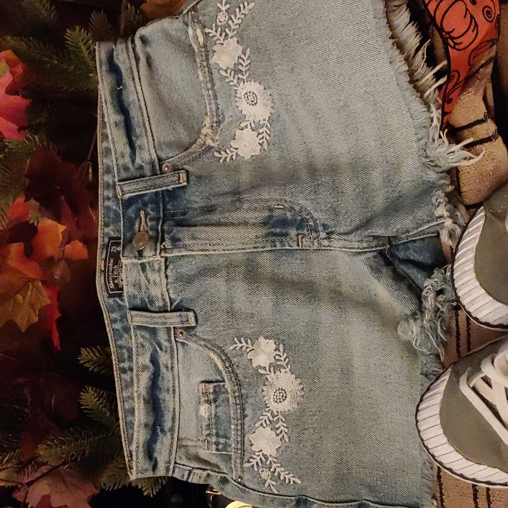 Abercrombie & Fitch Shorts: Size: 25/0